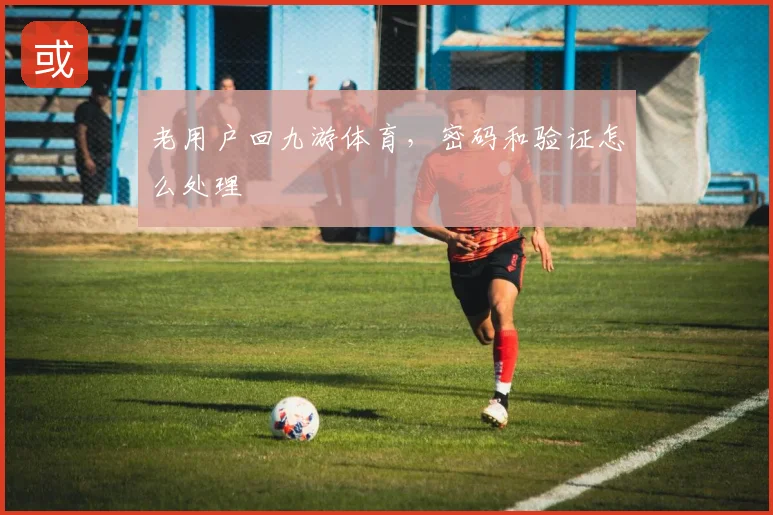 老用户回九游体育，密码和验证怎么处理